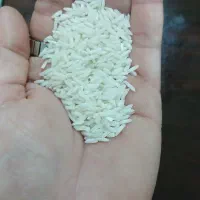 برنج هاشمی و نیمدانه هاشمی|خوردنی و آشامیدنی|رشت, پیرکلاچای|دیوار