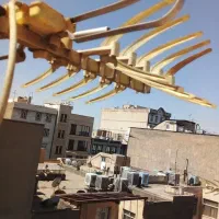 خدمات آنتن و کابل کشی