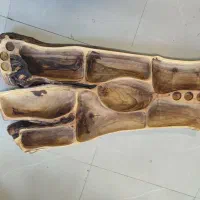 سینی مزه