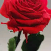 نیازمند یک پرستار  شبانه‌  روزی