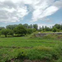 معاوضه باغ باویلا وآپارتمان|فروش دفتر صنعتی، کشاورزی، تجاری|مشگین شهر, |دیوار