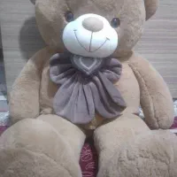 خرس پولیشی بزرگ