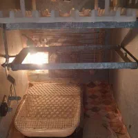 دستگاه جوجه کشی 50 تایی|لوازم جانبی حیوانات|اسفراین, |دیوار