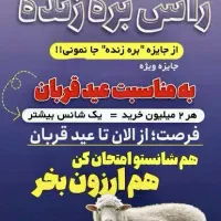 با خرید گوسفند زنده در قرعه کشی شرکت کنید ارزان