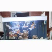 آکواریوم شیشه خم