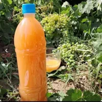 ابغوره ارگانیک  طبیعی