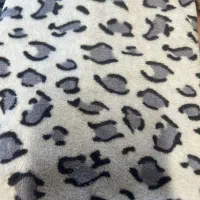 حوله استخری