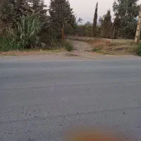 فروش-زمین-کشاورزی-برجاده-اصلی-نصرآبادبه-نومل