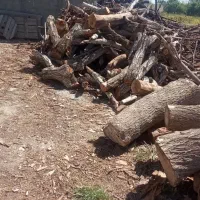خریدار چوب