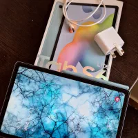Samsung Tab S6 lite (P615)