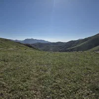 ۲۵۸مترسنددار/مصباح/فردوسی/قلمستان/ویلایی