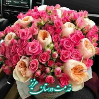 اجاره مغازه