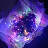 گل جاودان|گل مصنوعی|رشت, تازه آباد|دیوار