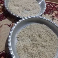 برنج عنبر بو وتارم علی کاظمی