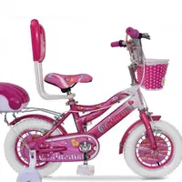 دوچرخه کودک مدل رنگارنگ|دوچرخه، اسکیت، اسکوتر|اصفهان, سنبلستان|دیوار