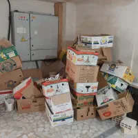 کارتن موز و ... برای اثباب کشی