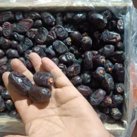فروش خرمایی صادراتی