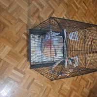 یک عدد قفس پرنده