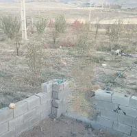 باغ دوهزار متری در زرنق|فروش دفتر صنعتی، کشاورزی، تجاری|میانه, |دیوار