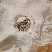 نقره ۹۵۰ عیار