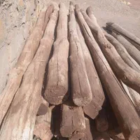 خریدهرنوع چوب|خدمات باغبانی و درختکاری|نیشابور, شهرک رسولی|دیوار