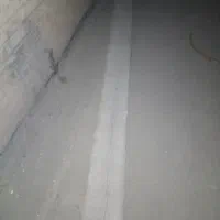تخته