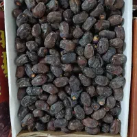 خرما مضافتی
