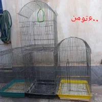 قفس (تعدادی قفس )