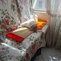 واگذاری رایگان