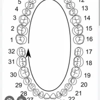 جویای کار، دستیار دندانپزشک هستم