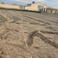 زمین-1000متر-برجاده-روستای-چمکی