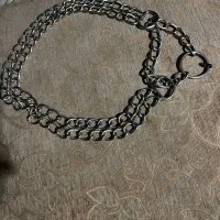 یک عدد گردنیه سگ استیل فروشی
