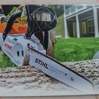 پاکسازی فضای سبز و برش درخت