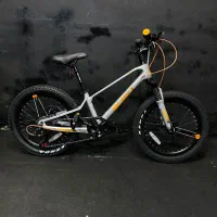 دوچرخه سایز ۲۰ بلست مدل Lionel فوق حرفه ای منیزیم