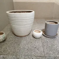 گلدان و استند گلدان