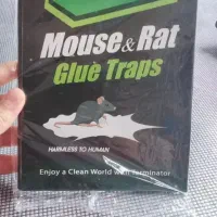 چسب موش ترمیناتور
