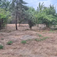 خونه ویلای گلنگی|فروش خانه و ویلا|رشت, معلولین|دیوار