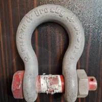 انواع شگل کروزبی آمریکایی اصل