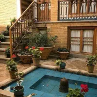 239-بالای-کاج