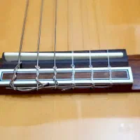 گیتار کلاسیک سانتانا تین-بادی و کاتوی پیکابدار|گیتار، بیس، امپلیفایر|بروجن, |دیوار