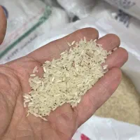 برنج پاکستانی وهندی|خوردنی و آشامیدنی|مشهد, مصلی (کارمندان اول)|دیوار