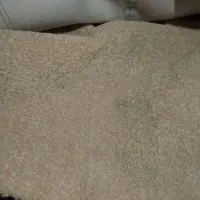 موکت پرز دار و ساده