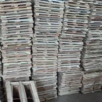 دری سبدی|خدمات باغبانی و درختکاری|دزفول, |دیوار