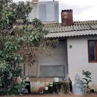 ویلایی-کلنگی-شکاری