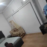 اجاره طبقه دو|اجارهٔ آپارتمان|مشگین شهر, |دیوار