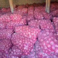 پیاز فلات|خوردنی و آشامیدنی|گرمخان, |دیوار