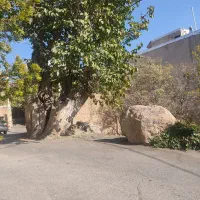 خونه اجارهای رهن|اجارهٔ آپارتمان|لواسان, |دیوار