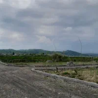 زمین جنگلی لوکیشن خیلی قوی