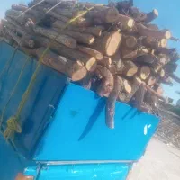 خرید چوب خدمات انجام حرص درخت وخرید چوب|خدمات باغبانی و درختکاری|بندرعباس, |دیوار