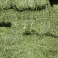 یونجه پرس درجه یک ۳۳هزار